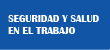 Seguridad y Salud en el Trabajo