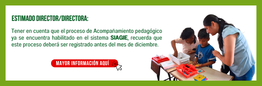 Acompanamiento-SIAGIE